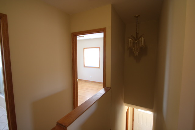 4247 Ruby St, Schiller Park, IL 60176 photo 8
