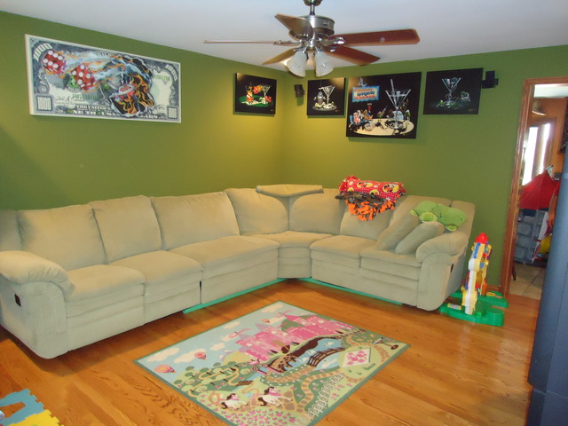 24445 S Pine Ridge Dr, Monee, IL 60449 photo 9