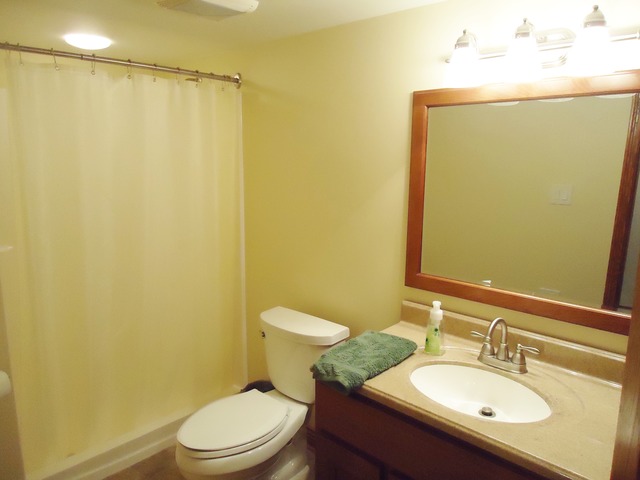 24445 S Pine Ridge Dr, Monee, IL 60449 photo 13