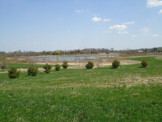 24445 S Pine Ridge Dr, Monee, IL 60449 photo 17