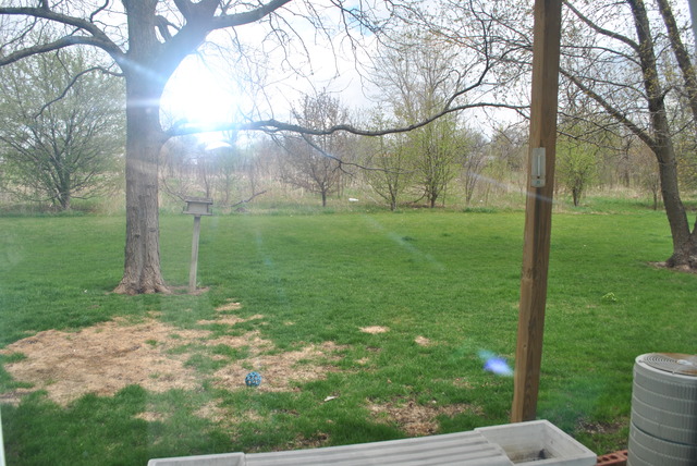 502 Nicole Dr #13-c, Bartlett, IL 60103 photo 6