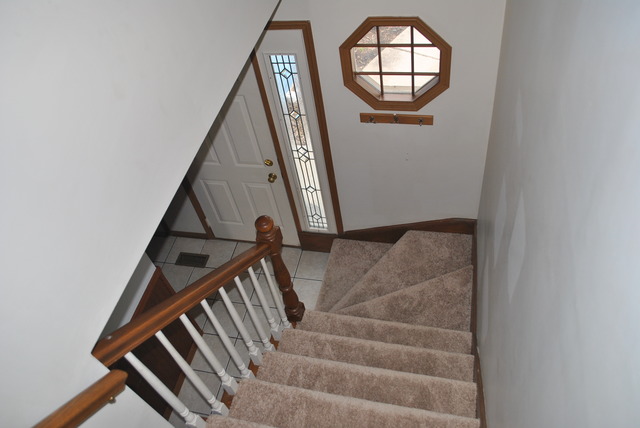 502 Nicole Dr #13-c, Bartlett, IL 60103 photo 20