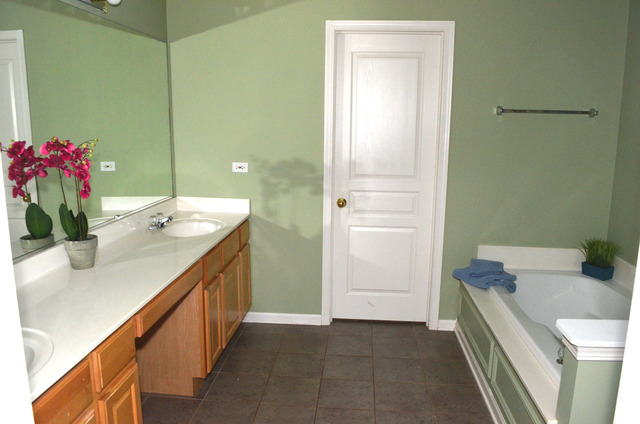 13064 Kensington Dr, Plainfield, IL 60585 photo 13