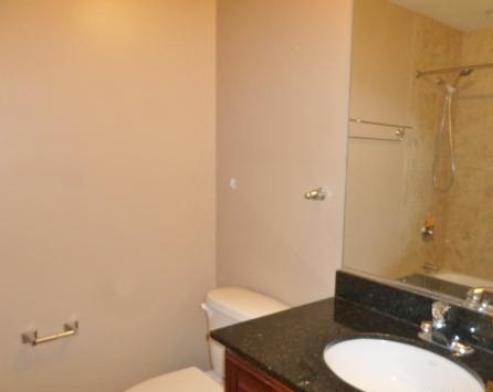 1255 S State St #1110, Chicago, IL 60605 photo 7