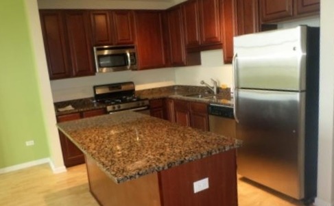 1255 S State St #1110, Chicago, IL 60605 photo 2