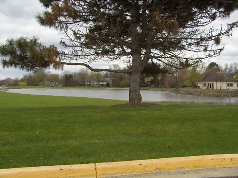 1484 Stonebridge Cir #b-5, Wheaton, IL 60189 photo 9
