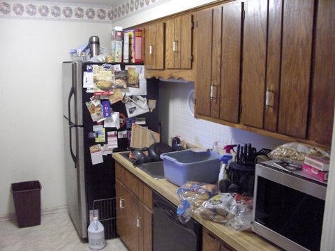 1484 Stonebridge Cir #b-5, Wheaton, IL 60189 photo 3