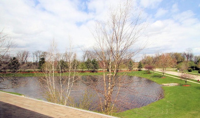 2302 Stonegate Rd, Algonquin, IL 60102 photo 24