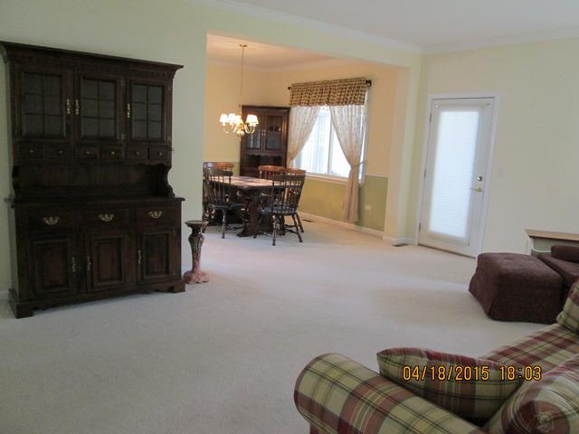 13815 S Hickory Ln, Plainfield, IL 60544 photo 8