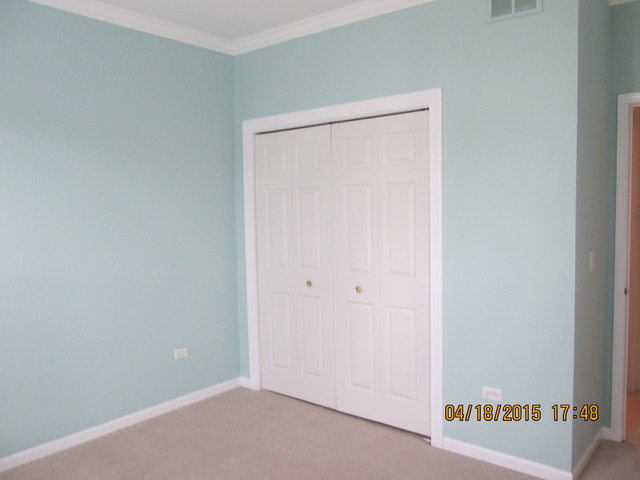 13815 S Hickory Ln, Plainfield, IL 60544 photo 15