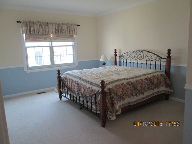 13815 S Hickory Ln, Plainfield, IL 60544 photo 9
