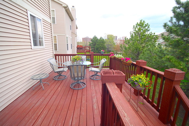 889 Clover Ridge Ln, Itasca, IL 60143 photo 24