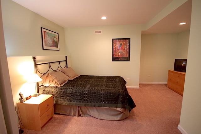 889 Clover Ridge Ln, Itasca, IL 60143 photo 22