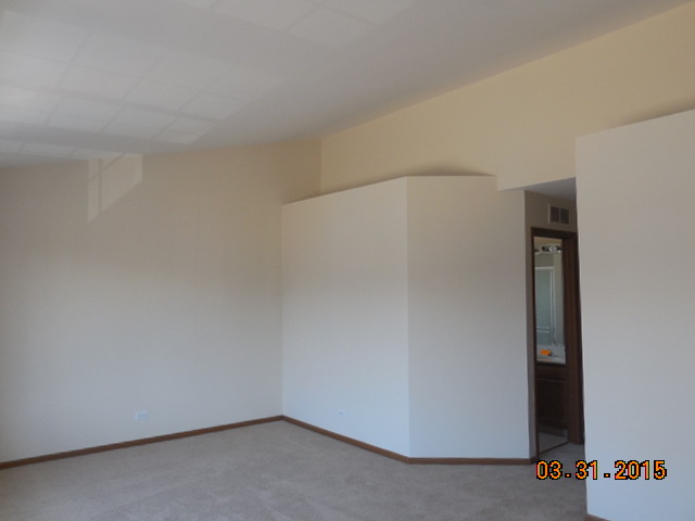 1591 Spaulding Rd, Bartlett, IL 60103 photo 19
