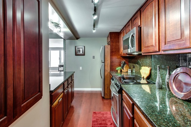 40 E 9th St #1801, Chicago, IL 60605 photo 4