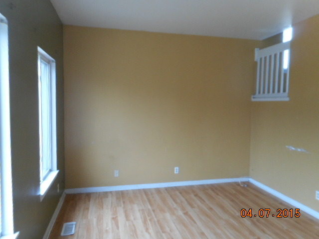 14041 S Oregon Dr, Plainfield, IL 60544 photo 11