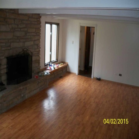 20827 Sparta Ln, Olympia Fields, IL 60461 photo 9