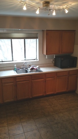 3433 W Bryn Mawr Ave #2n, Chicago, IL 60659 photo 7