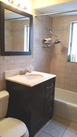  3433 W Bryn Mawr Ave #2n, Chicago, IL 60659 photo 10