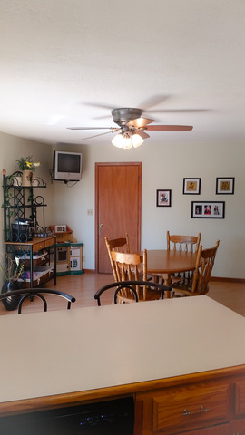393 9th St, Mazon, IL 60444 photo 9