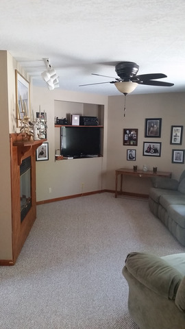 393 9th St, Mazon, IL 60444 photo 4