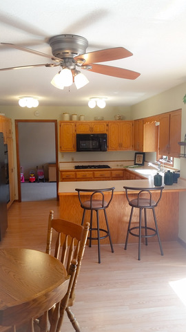 393 9th St, Mazon, IL 60444 photo 8