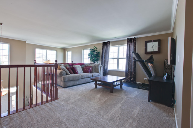 9662 Baumgartner St, Huntley, IL 60142 photo 15
