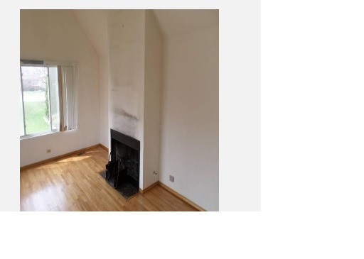 9259 S Michigan Ave, Chicago, IL 60619 photo 16