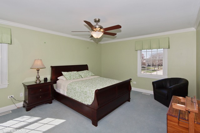 207 Hill Rd, Willowbrook, IL 60527 photo 12