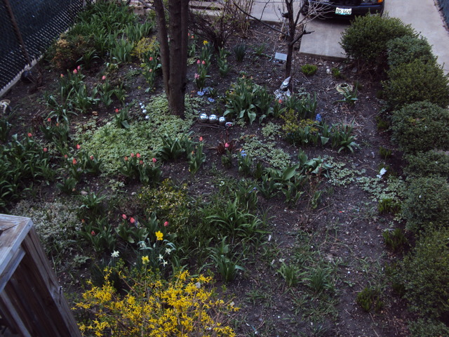 1311 N Artesian Ave, Chicago, IL 60622 photo 21