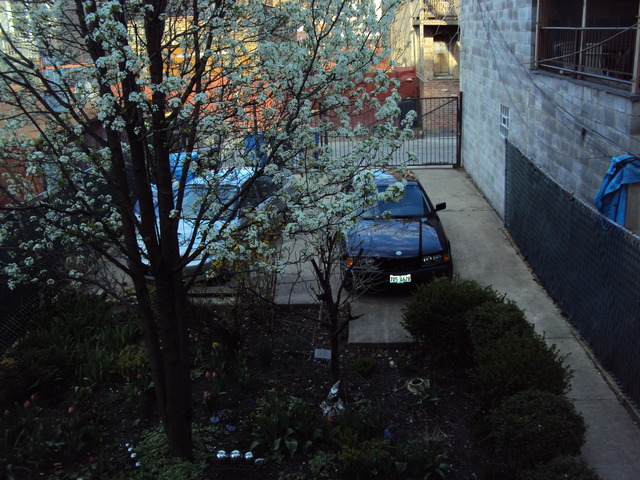 1311 N Artesian Ave, Chicago, IL 60622 photo 22
