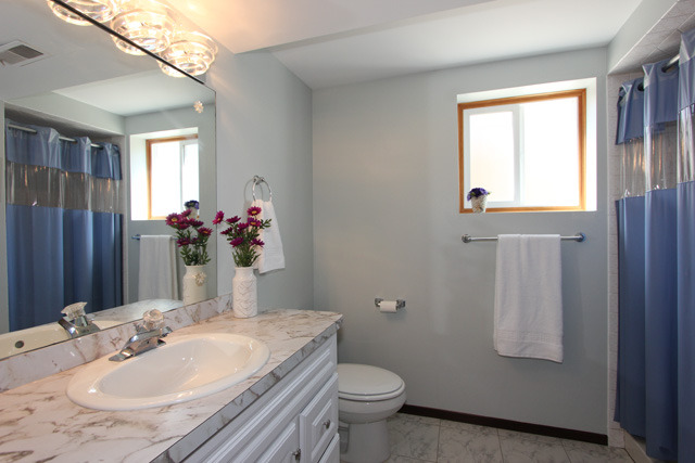 4604 Madison Ave, Brookfield, IL 60513 photo 13