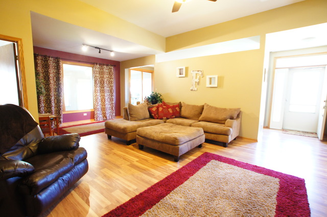 16629 Winding Creek Rd, Plainfield, IL 60586 photo 9