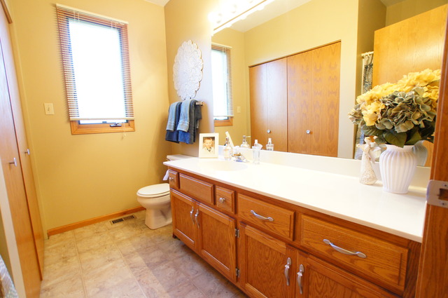 16629 Winding Creek Rd, Plainfield, IL 60586 photo 18
