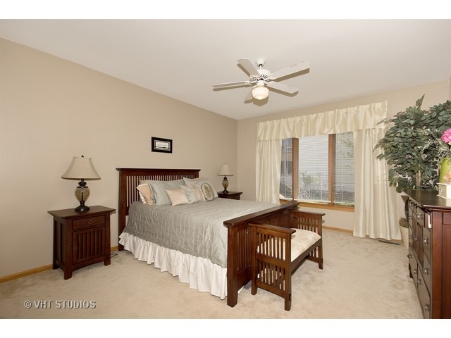16629 Winding Creek Rd, Plainfield, IL 60586 photo 11
