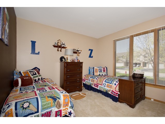 16629 Winding Creek Rd, Plainfield, IL 60586 photo 17