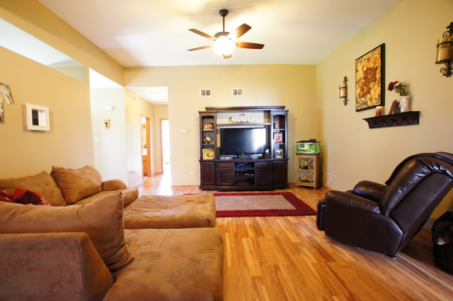 16629 Winding Creek Rd, Plainfield, IL 60586 photo 8