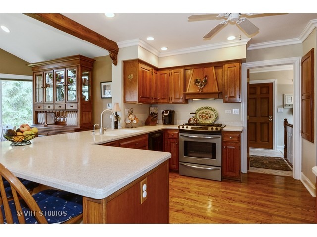 39 W155 Red Cloud Ln, Elgin, IL 60123 photo 4