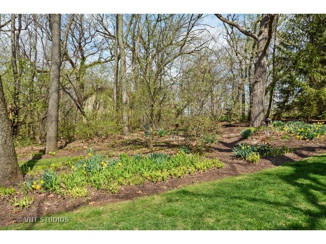 39 W155 Red Cloud Ln, Elgin, IL 60123 photo 23