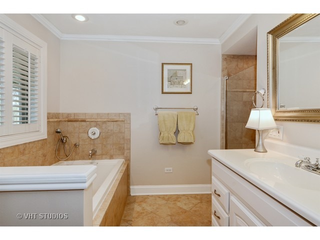 39 W155 Red Cloud Ln, Elgin, IL 60123 photo 17