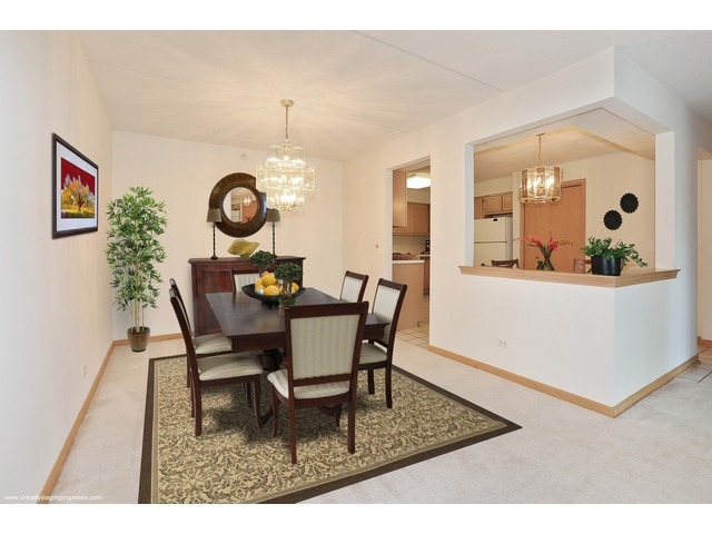 1600 E Thacker St #207, Des Plaines, IL 60016 photo 4