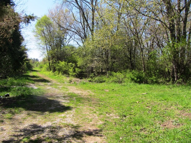 30508 S State Line Rd, Beecher, IL 60401 photo 2