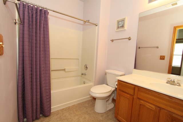 5001 Albany Ct, Plainfield, IL 60586 photo 9