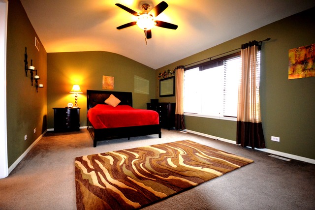 457 Summersweet Ln, Bartlett, IL 60103 photo 3