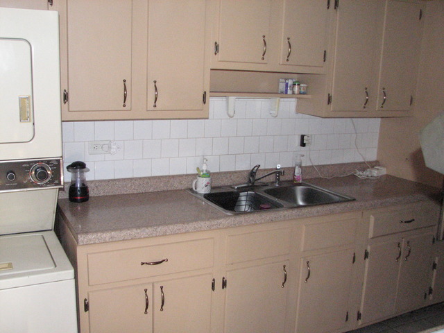 15228 Hamlin Ave, Midlothian, IL 60445 photo 7