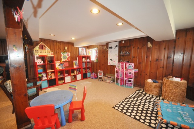 1119 E 54 St, Chicago, IL 60615 photo 19
