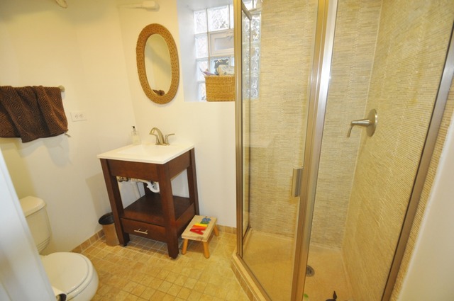 1119 E 54 St, Chicago, IL 60615 photo 22