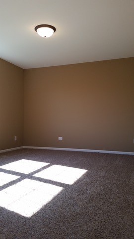15243 Hamlin St, Plainfield, IL 60544 photo 21