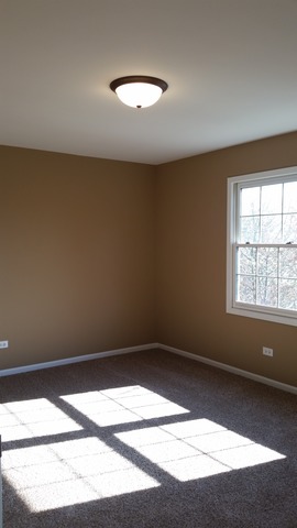 15243 Hamlin St, Plainfield, IL 60544 photo 20
