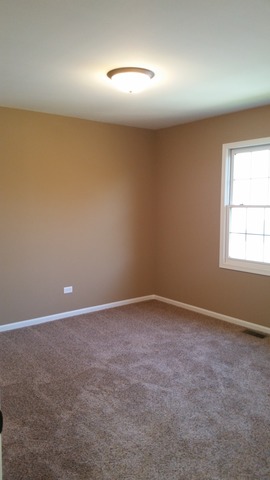 15243 Hamlin St, Plainfield, IL 60544 photo 19